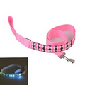 Led Dog Collar Tracing Rope